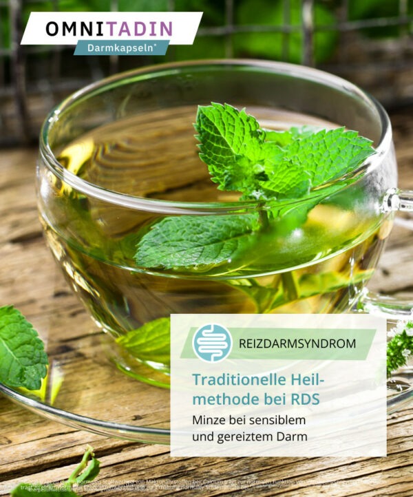 Traditionelle Heilmethode bei Reizdarm: Minze