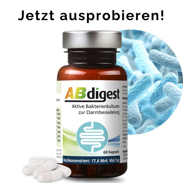 Abdigest Kapseln