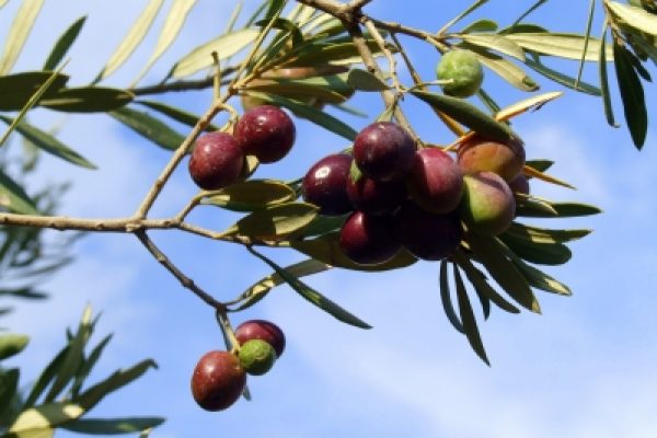 191545_web_R_K_B_by_ro18ger_pixelio.de