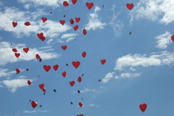 198266_web_R_K_by_FlowerLover_pixelio.de