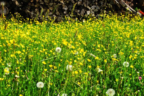 510539_web_R_K_B_by_Rainer Sturm_pixelio.de