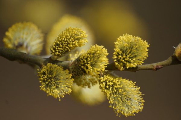 727701_web_R_K_B_by_Martin Jäger_pixelio.de