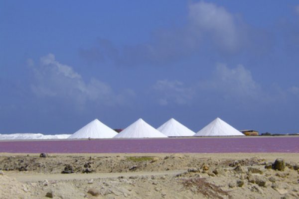 739619_web_R_by_Harald Schottner_pixelio.de